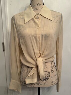 Sheer Button Down Shirt